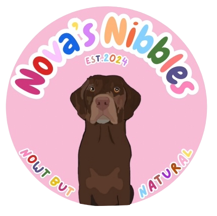 Nova's Nibbles